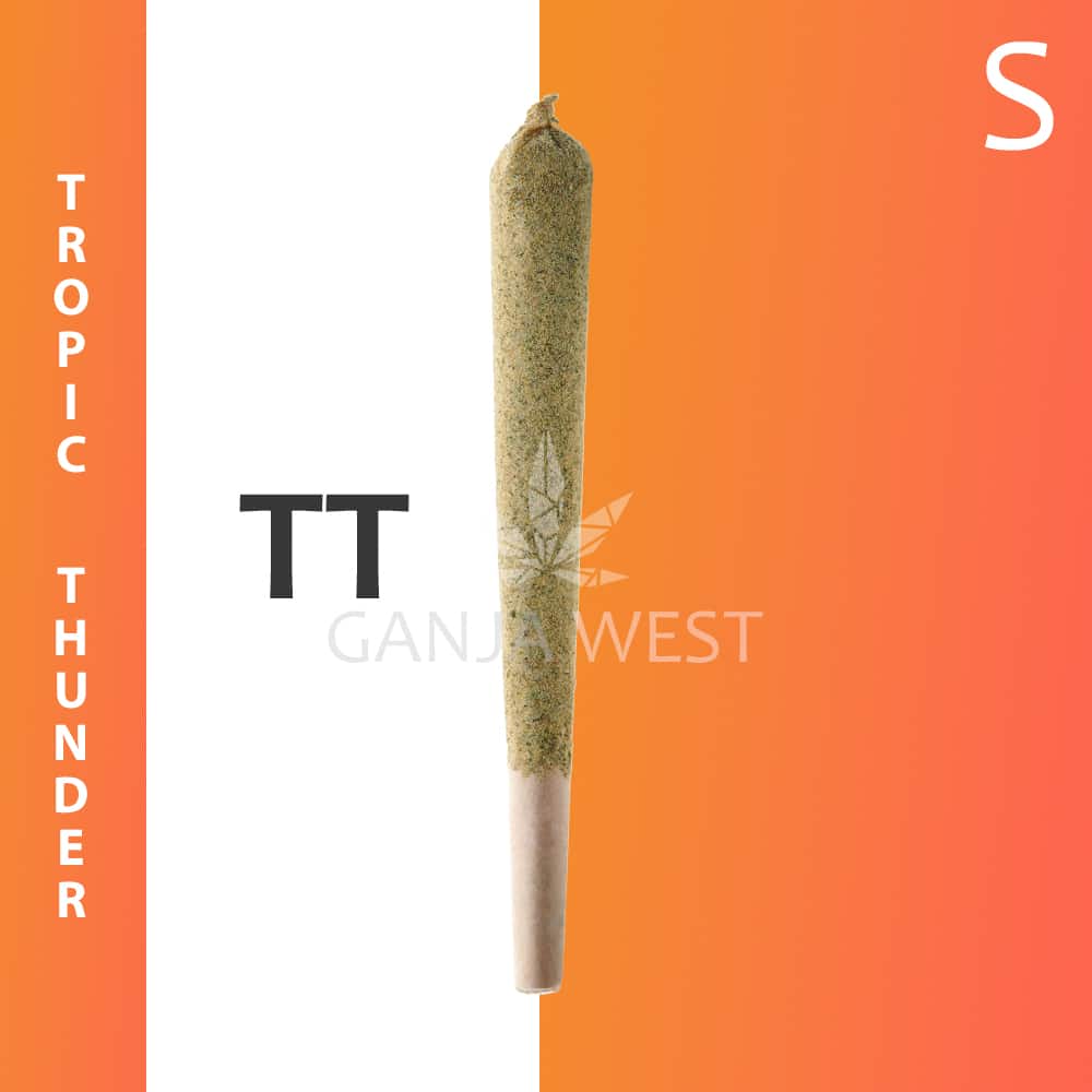 buy-weed-online-dispensary-ganjawest-concentrates-pre-rolled-caviar-joints-moonrock-sativa-tropic-thunder-1.jpg