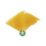 Shatter - Blizzard Bush - Hybrid