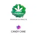 Shatter - Candy Cane - Indica