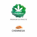 Shatter - Chemnesia - Sativa