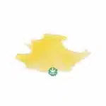 Shatter - Cherry Wonka - Sativa