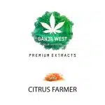 Shatter - Citrus Farmer - Sativa