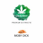Shatter - Moby Dick - Sativa