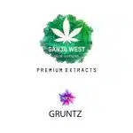 Shatter - Gruntz - Indica