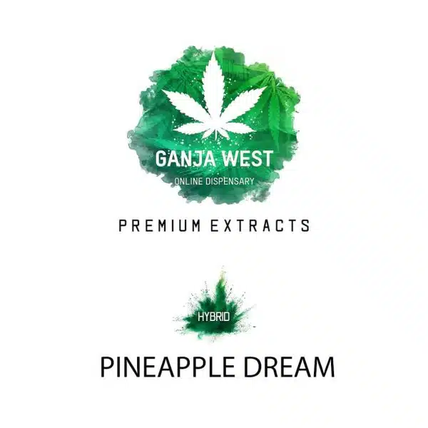 Shatter - Pineapple Dream - Hybrid