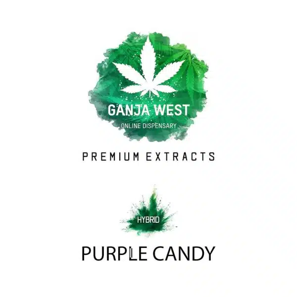 Shatter - Purple Candy - Hybrid