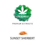 Shatter - Sunset Sherbert - Sativa