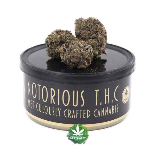 Notorious THC Craft - Alien Rock Candy (7 Grams)