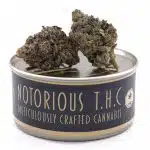 Notorious THC Craft - Animal Face x Kush Mints (7 Grams)