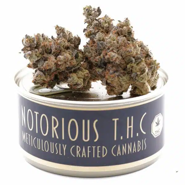 Notorious THC Craft - Bad Girl x Girl Scout Cookies (7 Grams)
