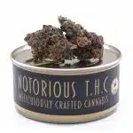 Notorious THC Craft - Dank Breath (7 Grams)