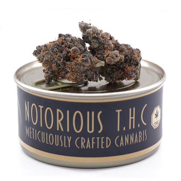 Notorious THC Craft - Dank Breath (7 Grams)