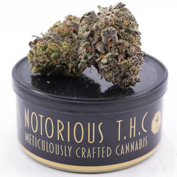 Notorious THC Craft - Dosi Pie (7 Grams)