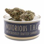 Notorious THC Craft - Jelly Breath X Ice Cream Cake (7 Grams)