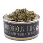 Notorious THC Craft - Kush Mints (7 Grams)
