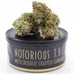 Notorious THC Craft - Pineapple Glue Crasher (7 Grams)