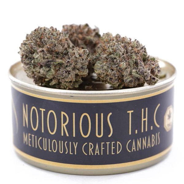 Notorious THC Craft - Pink Death Star (7 Grams)