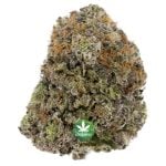 Astral OG AAAA - Sativa