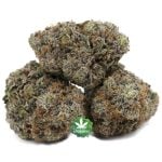 Wholesale - Astral OG - AAAA - Image 2