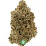 Blueberry Breath AA - Indica