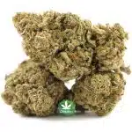 Wholesale - Blueberry Breath - AA - Image 2