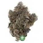 Cookies N Cream Craft - Hybrid