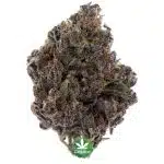 Gas Daddy Craft - Indica