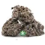 Gas Daddy Craft - Indica - Image 2