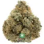 Orange Whip AA - Hybrid