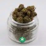Zurcules AA Popcorn - Indica