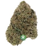 Mimosa AA - Sativa