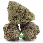 Mimosa AA - Sativa - Image 2