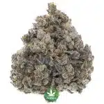 Jerry Can Craft - Sativa