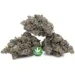 Jerry Can Craft - Sativa - Image 2