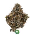 Wholesale - Larry Bird - AAAA - Image 2