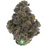 Lavender AAA - Indica