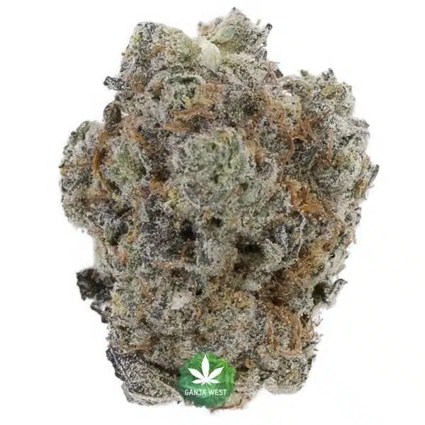 Living Soil Organic - Grape Milkshake Craft - Indica