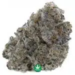 Miracle Whip Craft - Indica