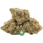 Orange Whip AA - Hybrid - Image 2