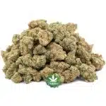 Orange Whip AA - Hybrid - Image 3