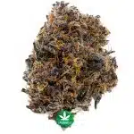 Papa G Craft - Indica