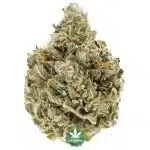 Peanut Butter Mochi A - Hybrid