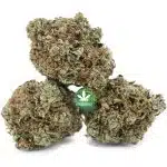 Peanut Butter Mochi A - Hybrid - Image 2