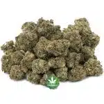 Peanut Butter Mochi A - Hybrid - Image 3