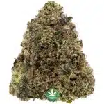 Wholesale - Power Nap - AA - Image 3