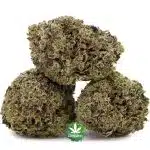 Wholesale - Power Nap - AA - Image 2