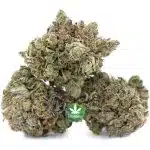 Purple Candy AAAA - Hybrid - Image 2