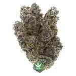 Raspberry Craft - Indica