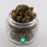 Scout Master AA Popcorn - Sativa