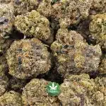 Solar Power AAAA - Hybrid - Image 3